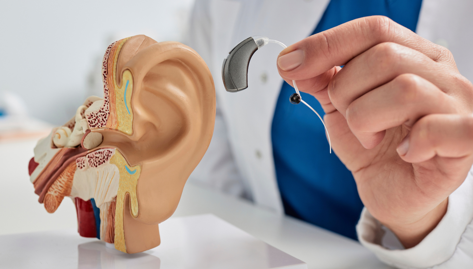 Erken Teşhis Görseli